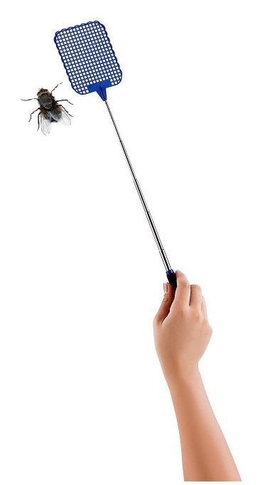A bug swatter